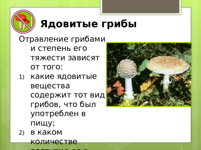 Ядовитые грибы Отравление грибами и степень его тяжести зависят от того: какие ядовитые вещества содержит тот вид грибов, что был употреблен в пищу; в каком количестве поступил яд в организм человека. 