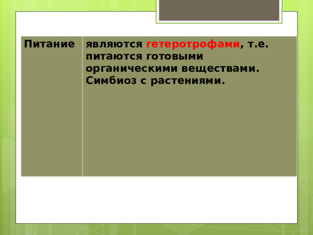 Питание являются гетеротрофами , т.е. питаются готовыми органическими веществами. Симбиоз с растениями. 