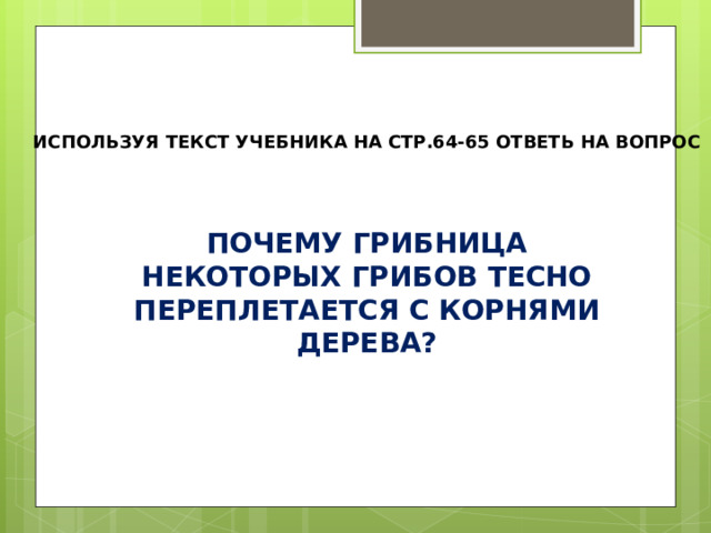 ИСПОЛЬЗУЯ ТЕКСТ УЧЕБНИКА НА СТР.64-65 ОТВЕТЬ НА ВОПРОС ПОЧЕМУ ГРИБНИЦА НЕКОТОРЫХ ГРИБОВ ТЕСНО ПЕРЕПЛЕТАЕТСЯ С КОРНЯМИ ДЕРЕВА? 