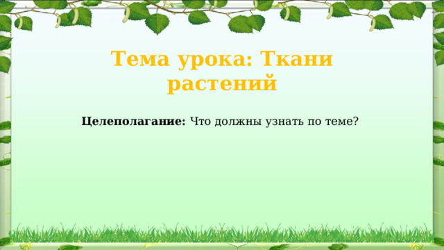 Тема урока: Ткани растений Целеполагание:  Что должны узнать по теме? 