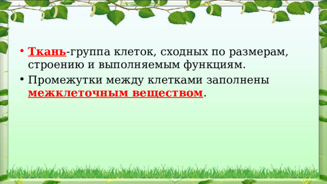Ткань -группа клеток, сходных по размерам, строению и выполняемым функциям. Промежутки между клетками заполнены межклеточным веществом . 