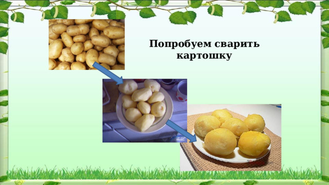 Попробуем сварить картошку 
