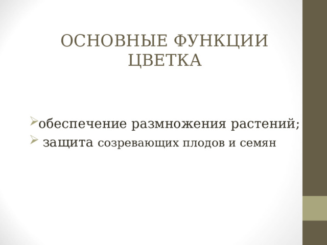 ОСНОВНЫЕ ФУНКЦИИ ЦВЕТКА обеспечение размножения растений;  защита созревающих плодов и семян 
