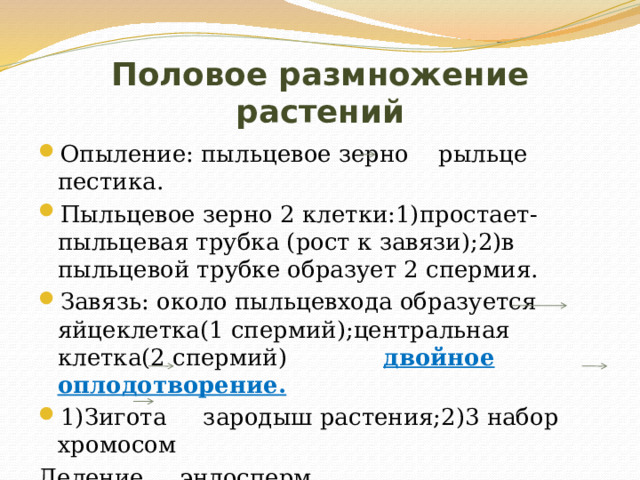 Половое размножение растений Опыление: пыльцевое зерно рыльце пестика. Пыльцевое зерно 2 клетки:1)простает-пыльцевая трубка (рост к завязи);2)в пыльцевой трубке образует 2 спермия. Завязь: около пыльцевхода образуется яйцеклетка(1 спермий);центральная клетка(2 спермий) двойное оплодотворение. 1)Зигота зародыш растения;2)3 набор хромосом Деление эндосперм 