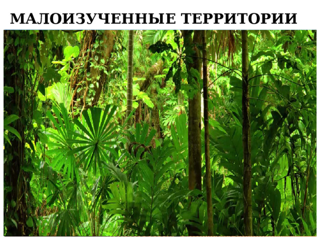МАЛОИЗУЧЕННЫЕ ТЕРРИТОРИИ 