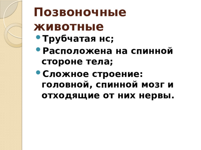 Позвоночные  животные  Трубчатая нс; Расположена на спинной стороне тела; Сложное строение: головной, спинной мозг и отходящие от них нервы. 