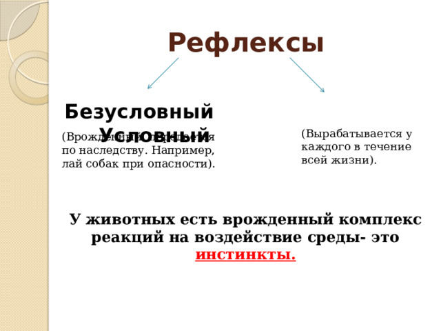 Рефлексы   Безусловный Условный (Вырабатывается у каждого в течение всей жизни). (Врожденный, передается по наследству. Например, лай собак при опасности). У животных есть врожденный комплекс реакций на воздействие среды- это инстинкты. 