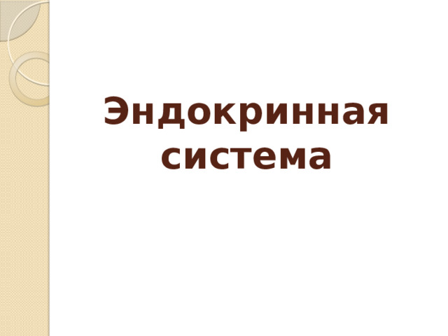 Эндокринная система 