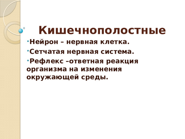 Кишечнополостные  Нейрон – нервная клетка. Сетчатая нервная система. Рефлекс –ответная реакция организма на изменения окружающей среды. 