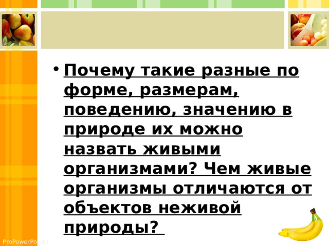 Почему такие разные по форме, размерам, поведению, значению в природе их можно назвать живыми организмами? Чем живые организмы отличаются от объектов неживой природы? 