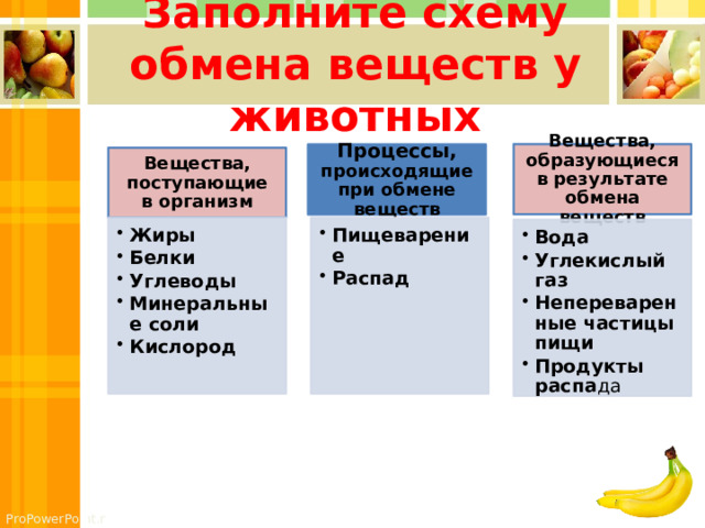 Заполните схему обмена веществ у животных Вещества, образующиеся в результате обмена веществ Процессы, происходящие при обмене веществ Вещества, поступающие в организм Жиры Белки Углеводы Минеральные соли Кислород Жиры Белки Углеводы Минеральные соли Кислород Пищеварение Распад Пищеварение Распад Вода Углекислый газ Непереваренные частицы пищи Продукты распа да Вода Углекислый газ Непереваренные частицы пищи Продукты распа да 