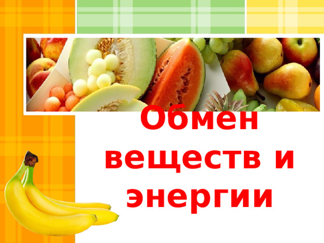 Обмен веществ и энергии 
