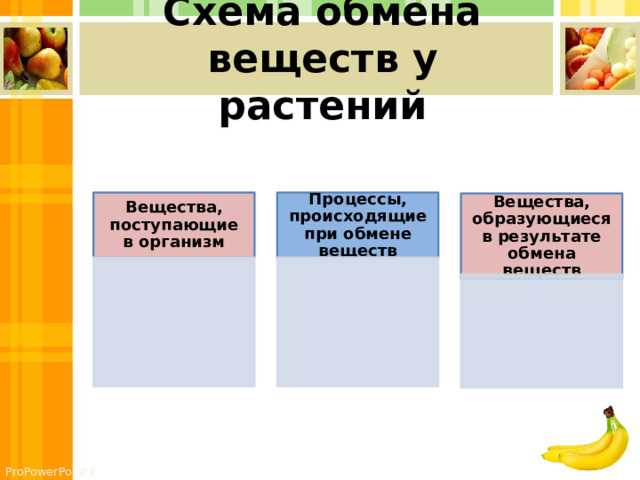 Схема обмена веществ у растений Вещества, поступающие в организм Процессы, происходящие при обмене веществ Вещества, образующиеся в результате обмена веществ 