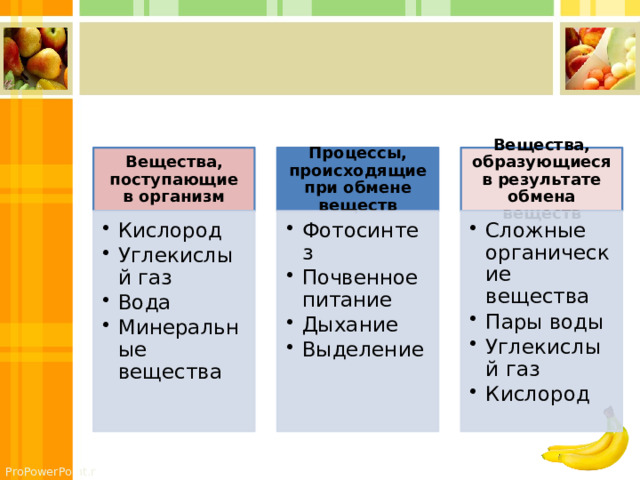 Вещества, поступающие в организм Процессы, происходящие при обмене веществ Вещества, образующиеся в результате обмена веществ Кислород Углекислый газ Вода Минеральные вещества Кислород Углекислый газ Вода Минеральные вещества Фотосинтез Почвенное питание Дыхание Выделение Фотосинтез Почвенное питание Дыхание Выделение Сложные органические вещества Пары воды Углекислый газ Кислород Сложные органические вещества Пары воды Углекислый газ Кислород 