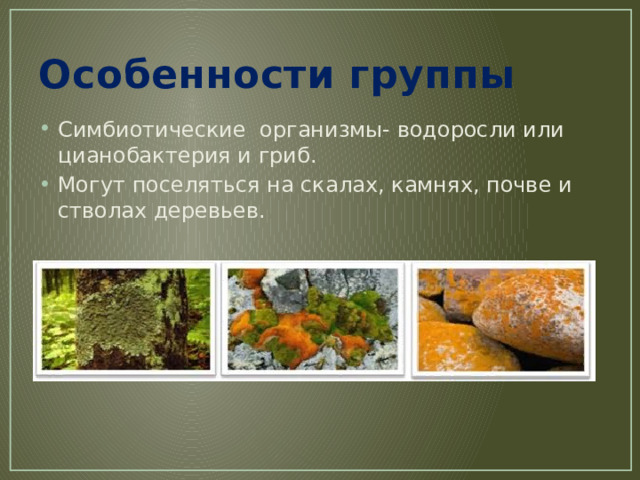 Особенности группы Симбиотические организмы- водоросли или цианобактерия и гриб. Могут поселяться на скалах, камнях, почве и стволах деревьев. 