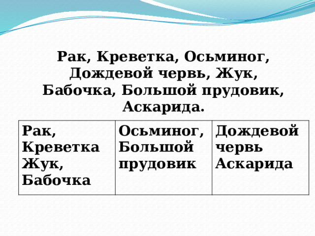 Рак, Креветка, Осьминог, Дождевой червь, Жук, Бабочка, Большой прудовик, Аскарида. Рак, Креветка Жук, Бабочка Осьминог, Большой прудовик Дождевой червь Аскарида 