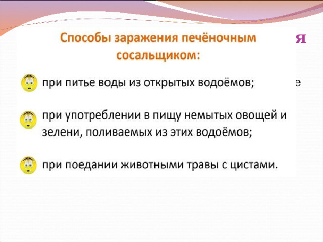 Меры защиты от заражения сосальщиком Есть только прожаренное или проваренное мясо Не грызть травинки Не пить воду из открытых водоемов 