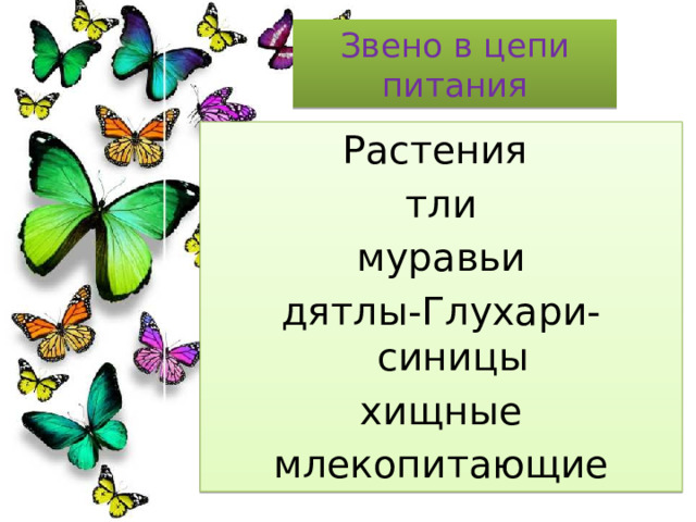 Звено в цепи питания Растения тли муравьи дятлы-Глухари-синицы хищные млекопитающие 