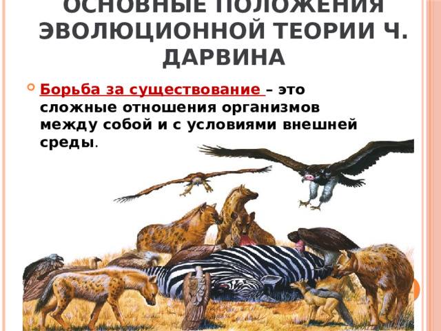 Основные положения эволюционной теории Ч. Дарвина Борьба за существование – это сложные отношения организмов между собой и с условиями внешней среды . 