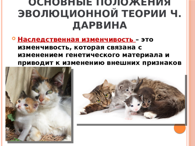 Основные положения эволюционной теории Ч. Дарвина Наследственная изменчивость – это изменчивость, которая связана с изменением генетического материала и приводит к изменению внешних признаков организма. 