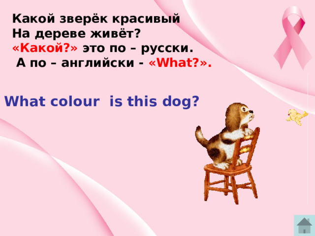 Какой зверёк красивый На дереве живёт? «Какой?» это по – русски.  А по – английски - «What?». What colour is this dog? 