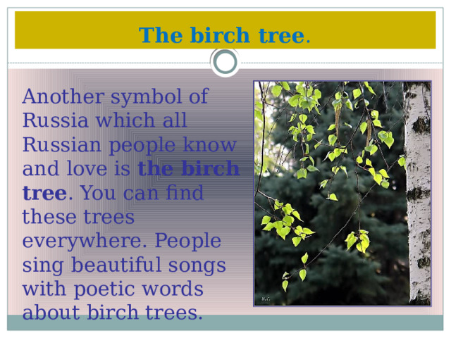 The birch tree . Another symbol of Russia which all Russian people know and love is the birch tree . You can find these trees everywhere. People sing beautiful songs with poetic words about birch trees. 