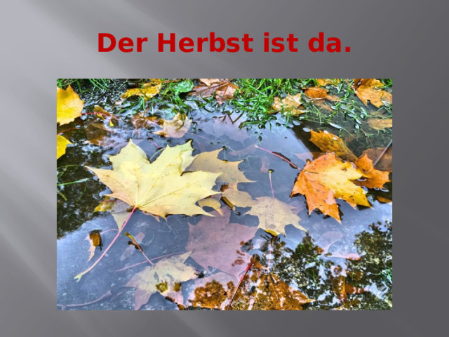 Der Herbst ist da. 