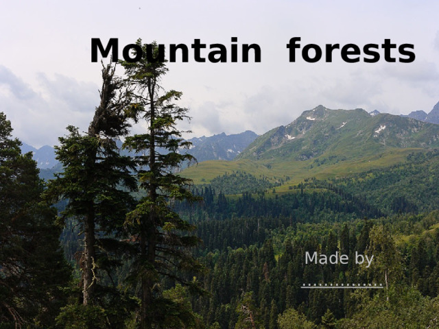 Mountain forests Made by …………… 