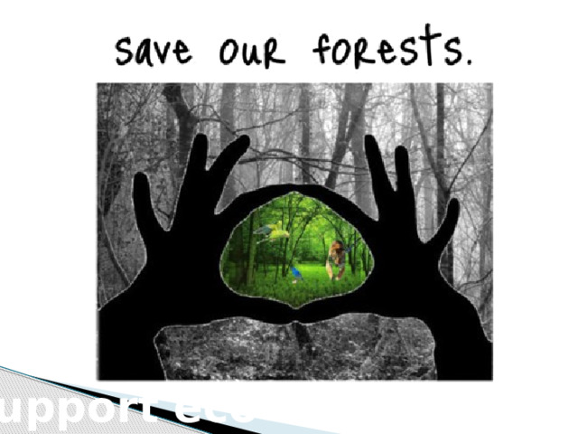 Support eco-organizations 