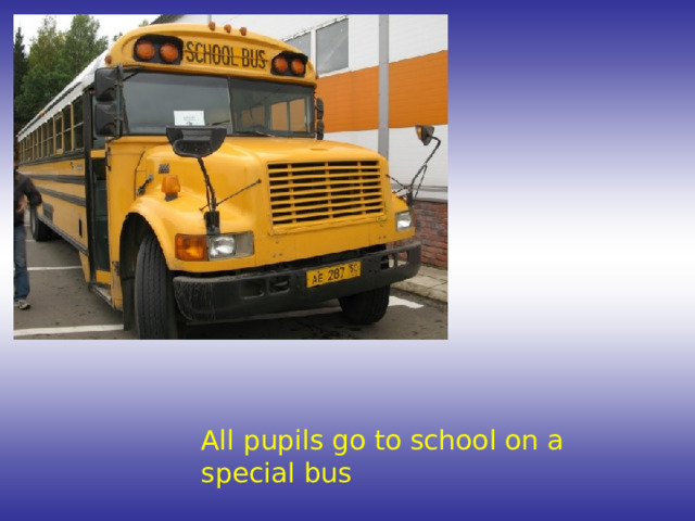 All pupils go to school on a special bus 