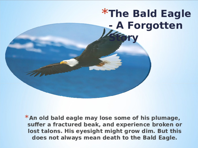 The Bald Eagle - A Forgotten Story   The Bald Eagle - A Forgotten Story   An old bald eagle may lose some of his plumage, suffer a fractured beak, and experience broken or lost talons. His eyesight might grow dim. But this does not always mean death to the Bald Eagle. 