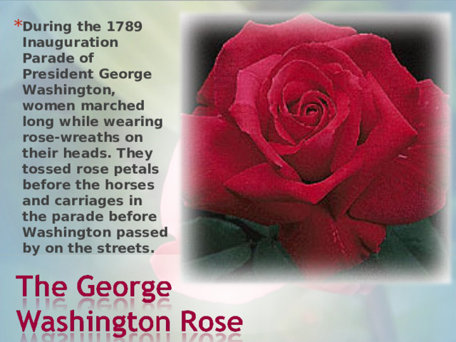 During the 1789 Inauguration Parade of President George Washington, women marched long while wearing rose-wreaths on their heads. They tossed rose petals before the horses and carriages in the parade before Washington passed by on the streets. 