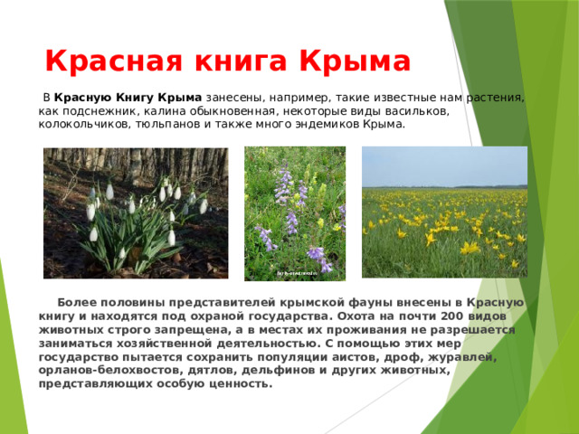 Красная книга Крыма  В  Красную Книгу Крыма  занесены, например, такие известные нам растения, как подснежник, калина обыкновенная, некоторые виды васильков, колокольчиков, тюльпанов и также много эндемиков Крыма.   Более половины представителей крымской фауны внесены в Красную книгу и находятся под охраной государства. Охота на почти 200 видов животных строго запрещена, а в местах их проживания не разрешается заниматься хозяйственной деятельностью. С помощью этих мер государство пытается сохранить популяции аистов, дроф, журавлей, орланов-белохвостов, дятлов, дельфинов и других животных, представляющих особую ценность. 