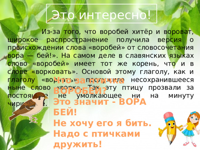  Это интересно!   Из-за того, что воробей хитёр и вороват, широкое распространение получила версия о происхождении слова «воробей» от словосочетания вора — бей!». На самом деле в славянских языках слово «воробей» имеет тот же корень, что и в слове «ворковать». Основой этому глаголу, как и глаголу «ворчать», послужило несохранившееся ныне слово «ворк». Так эту птицу прозвали за постоянное не умолкающее ни на минуту чирикание. Что за птичка ВОРОБЕЙ? Это значит - ВОРА БЕЙ! Не хочу его я бить. Надо с птичками дружить! 