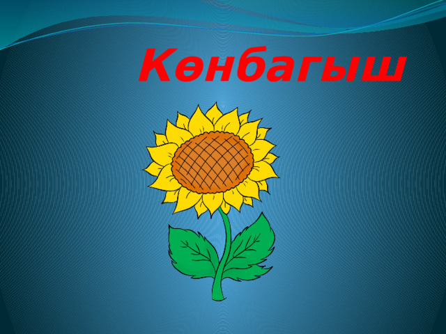  Көнбагыш 