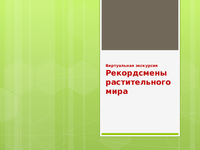 Виртуальная экскурсия  Рекордсмены растительного  мира 