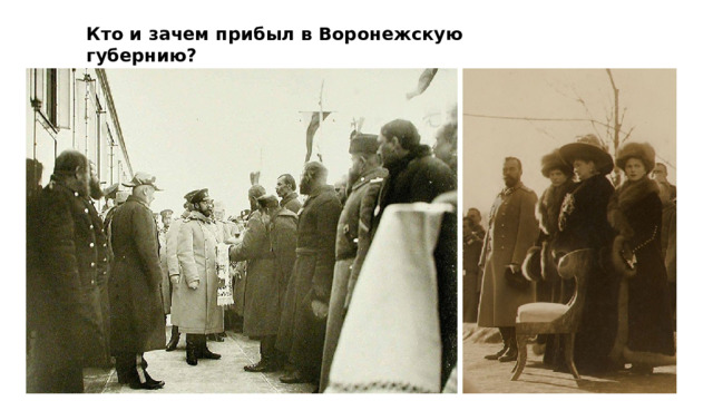 Кто и зачем прибыл в Воронежскую губернию? 