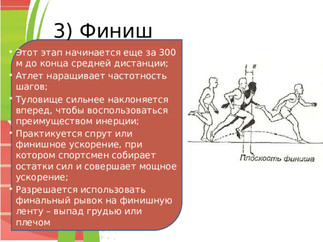 3) Финиш Этот этап начинается еще за 300 м до конца средней дистанции; Атлет наращивает частотность шагов; Туловище сильнее наклоняется вперед, чтобы воспользоваться преимуществом инерции; Практикуется спрут или финишное ускорение, при котором спортсмен собирает остатки сил и совершает мощное ускорение; Разрешается использовать финальный рывок на финишную ленту – выпад грудью или плечом 