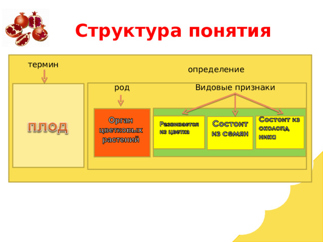 Структура понятия тер термин определение Видовые признаки род 