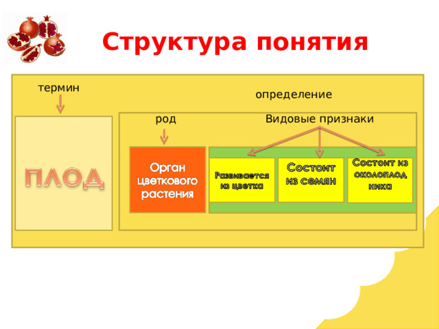 Структура понятия тер термин определение род Видовые признаки 