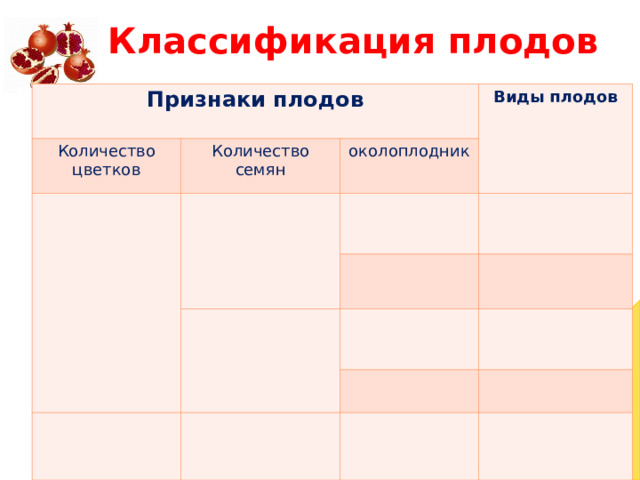 Классификация плодов Признаки плодов Количество цветков Количество семян Виды плодов околоплодник  