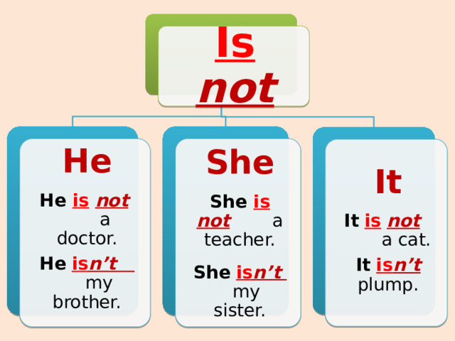 Is  not He She He  is  not  a doctor. She  is  not  a teacher. He  is n’t  my brother. She  is n’t  my sister. It It  is  not  a cat. It  is n’t plump. 