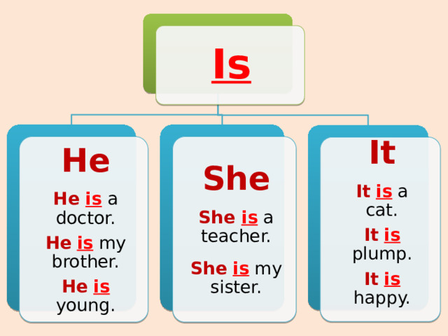 Is He She He is a doctor. She is a teacher. He  is my brother. He  is young. She  is my sister. It It  is a cat. It  is plump. It  is happy. 