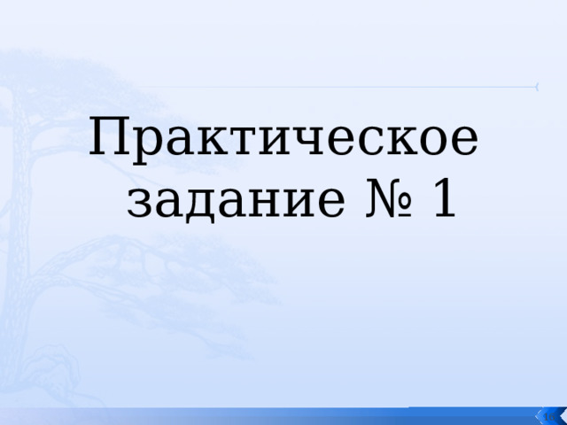 Практическое задание № 1  