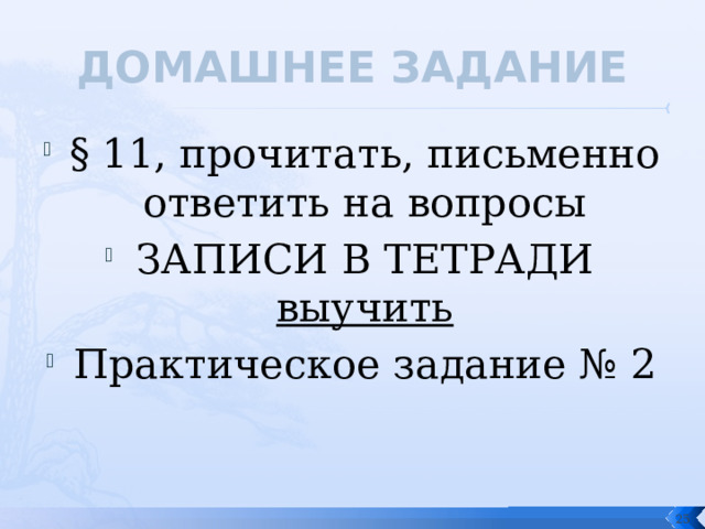 ДОМАШНЕЕ ЗАДАНИЕ § 11, прочитать, письменно ответить на вопросы ЗАПИСИ В ТЕТРАДИ выучить Практическое задание № 2   
