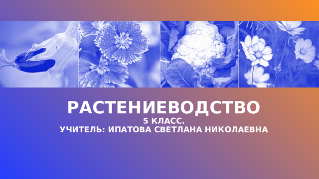 Растениеводство  5 класс.  Учитель: ипатова светлана Николаевна   
