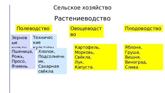 Сельское хозяйство Растениеводство Полеводство Овощеводство Плодоводство Технические культуры Зерновые культуры Яблоня, Картофель, Морковь, Груша, Вишня, Свёкла, Лук, Виноград, Капуста. Слива . Хлопок, Пшеница, Подсолнечник, Рожь, Сахарная свёкла . Просо, Ячмень . 