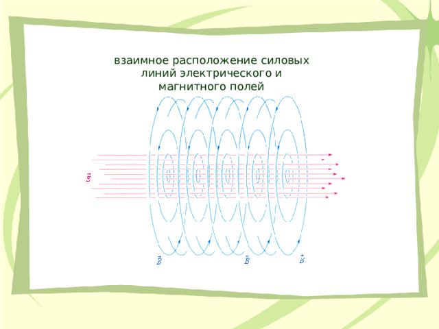 взаимное расположение силовых линий электрического и магнитного полей 