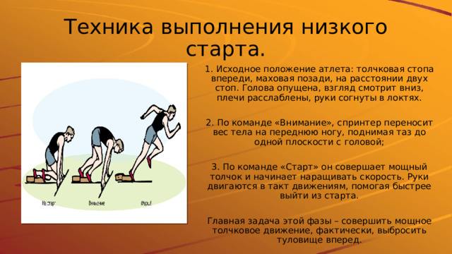 Техника выполнения низкого старта. 1. Исходное положение атлета: толчковая стопа впереди, маховая позади, на расстоянии двух стоп. Голова опущена, взгляд смотрит вниз, плечи расслаблены, руки согнуты в локтях. 2. По команде «Внимание», спринтер переносит вес тела на переднюю ногу, поднимая таз до одной плоскости с головой; 3. По команде «Старт» он совершает мощный толчок и начинает наращивать скорость. Руки двигаются в такт движениям, помогая быстрее выйти из старта. Главная задача этой фазы – совершить мощное толчковое движение, фактически, выбросить туловище вперед. 