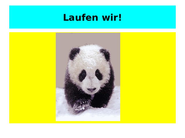 Laufen wir! 